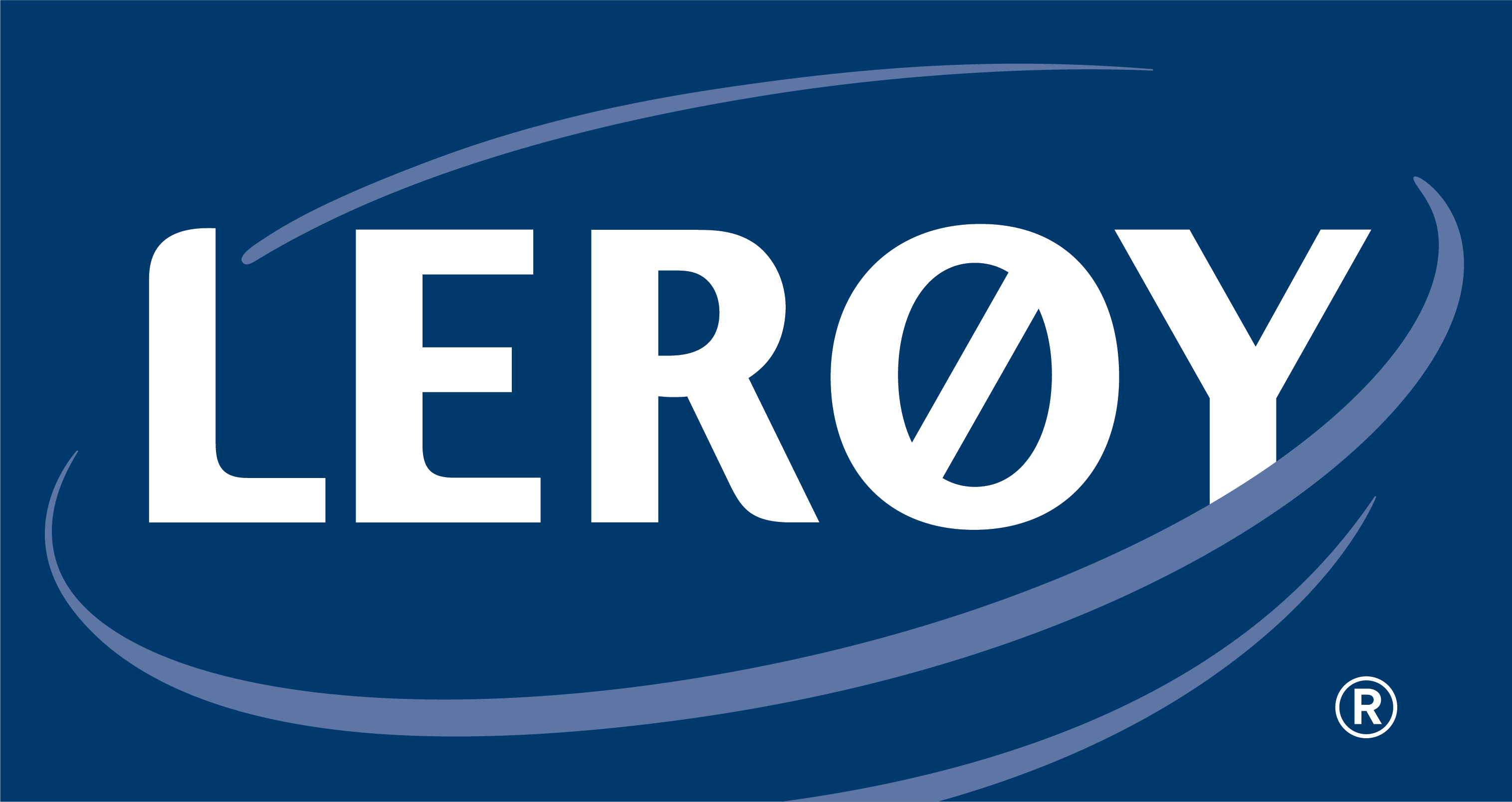 Logo Leroy Processing Spain Madrid